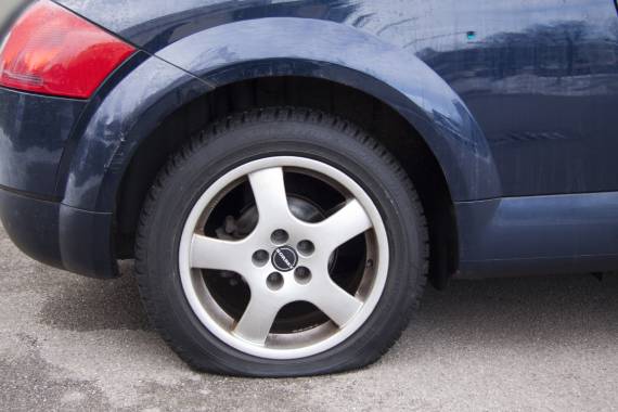 Tire World and More